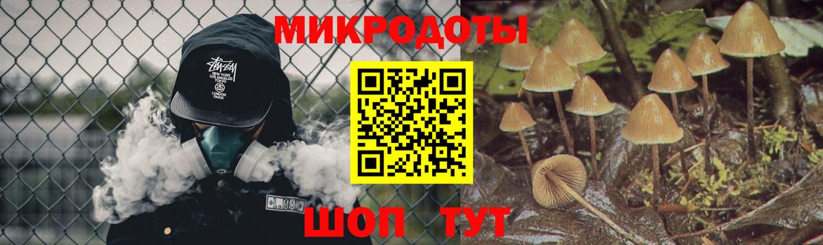 Галлюциногенные грибы Psilocybe  Урюпинск  Галлюциногенные грибы Cubensis 